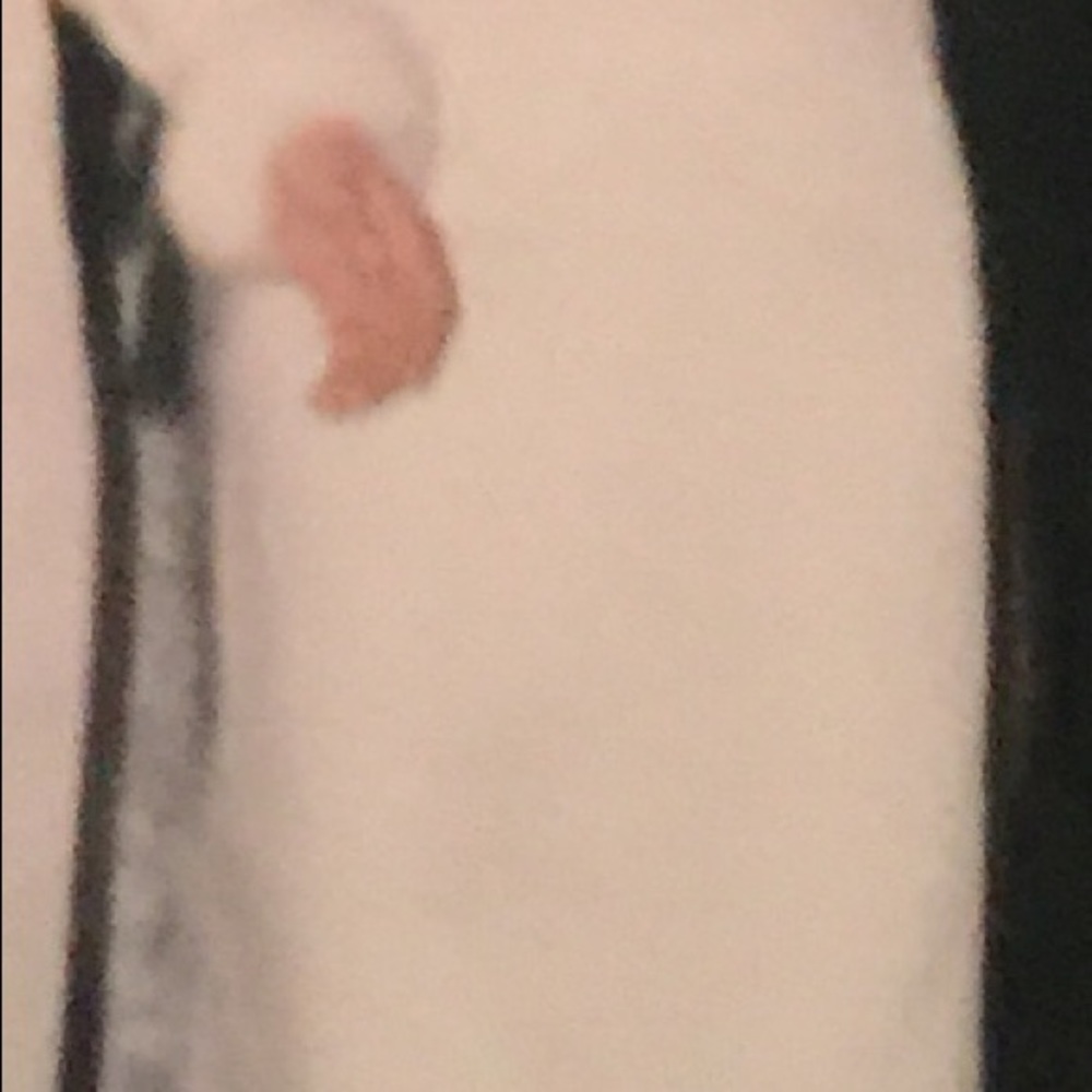 Cream Color Gown - Picture 15 of 16